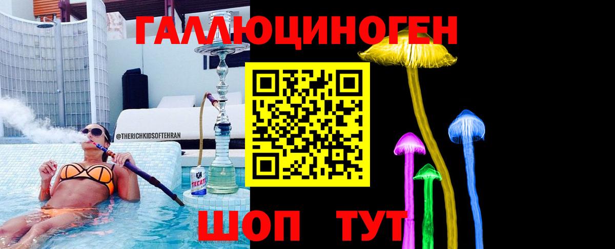 Азнакаево  Галлюциногенные грибы Psilocybe  Вход с VPN 